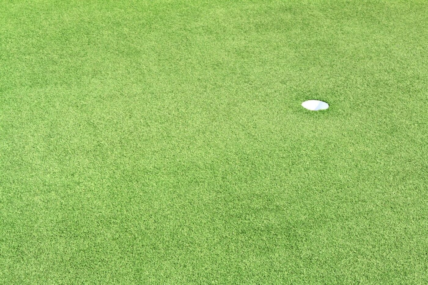 Fernandina Beach FL lawn transformed into a putting green backyard